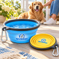 qovzunex Collapsible Pet Travel Bowl — pet and home setting